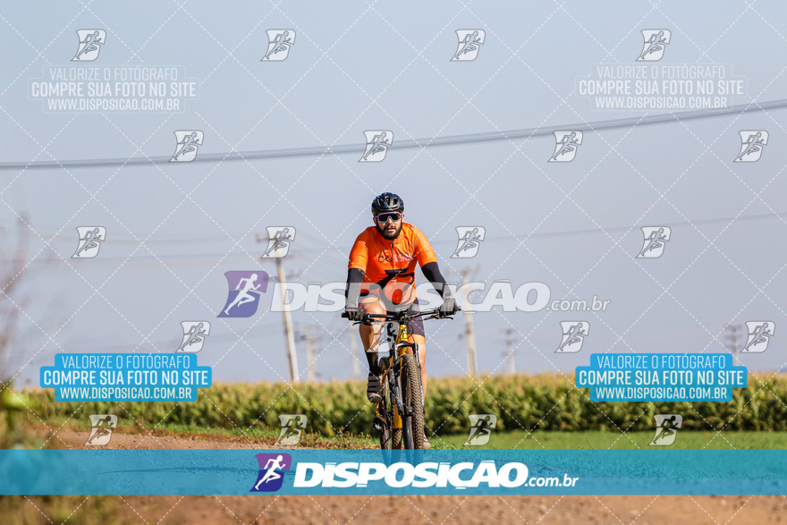 V Desafio MTB Marialva