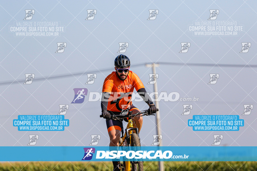 V Desafio MTB Marialva