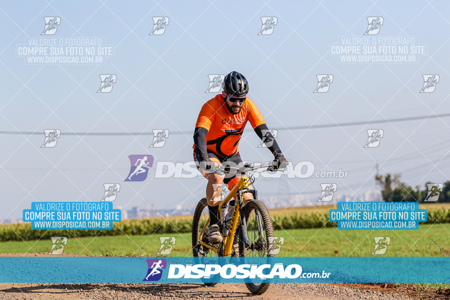 V Desafio MTB Marialva