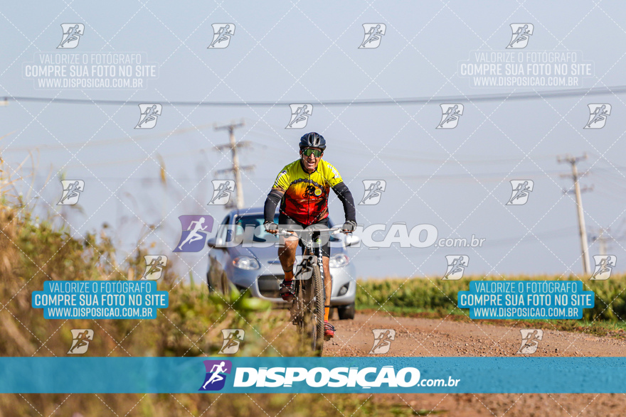 V Desafio MTB Marialva