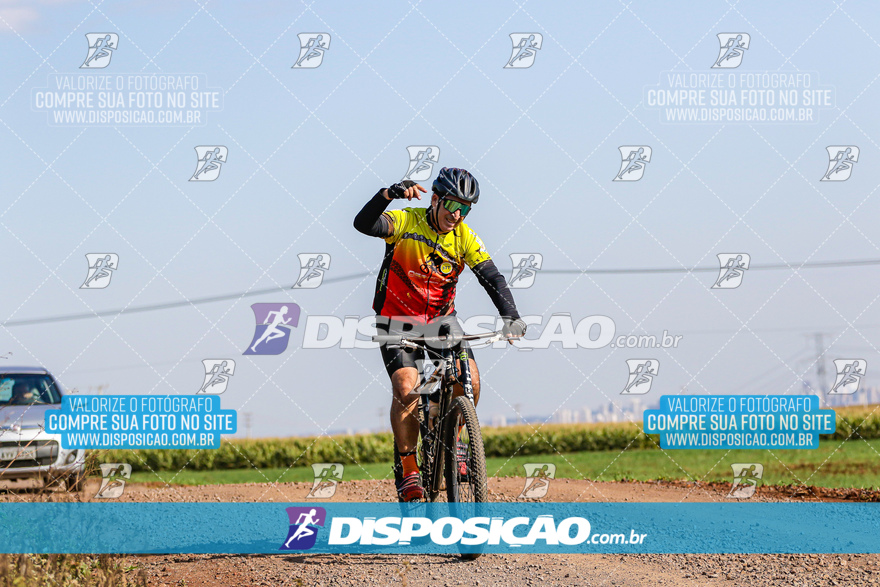 V Desafio MTB Marialva