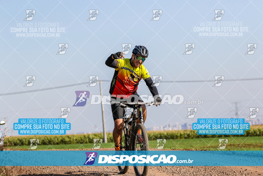 V Desafio MTB Marialva