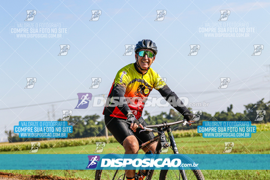 V Desafio MTB Marialva