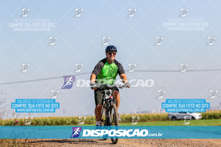 V Desafio MTB Marialva