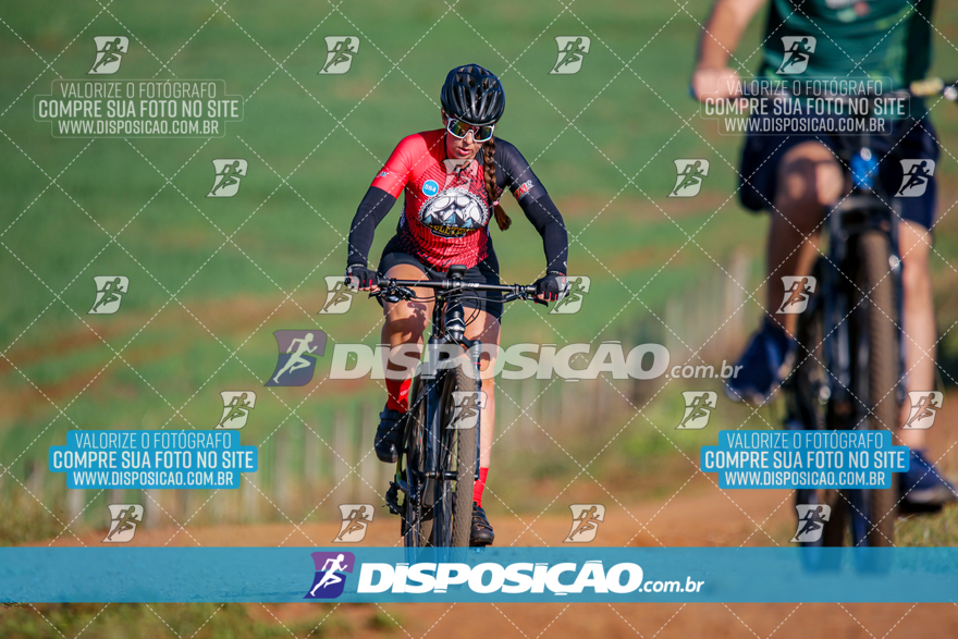 V Desafio MTB Marialva