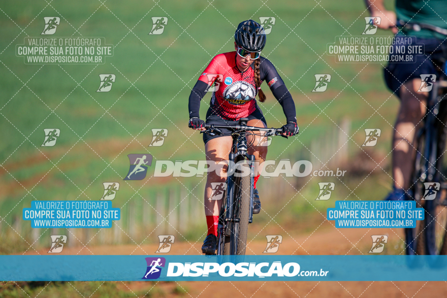 V Desafio MTB Marialva