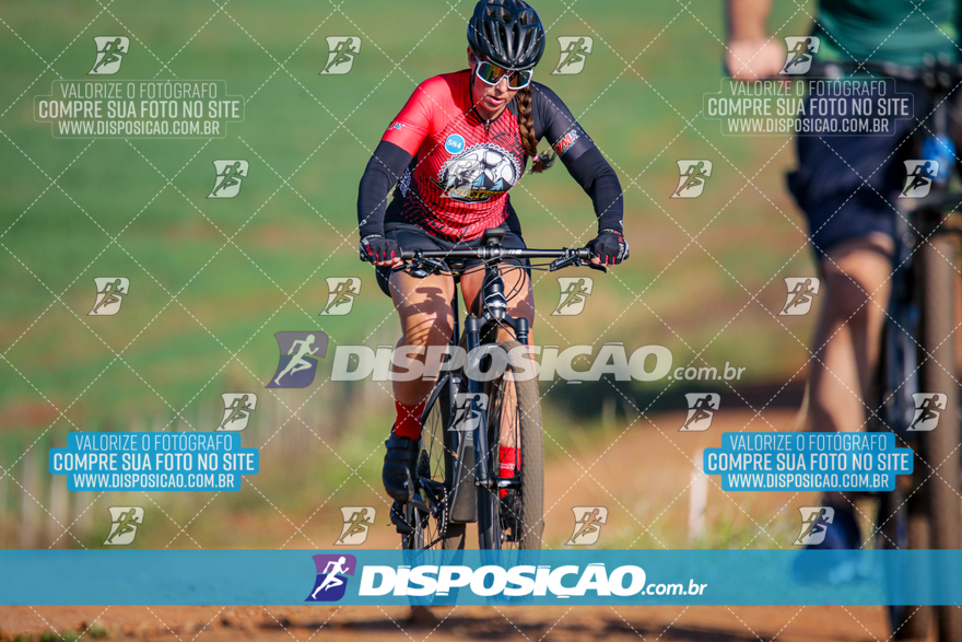 V Desafio MTB Marialva