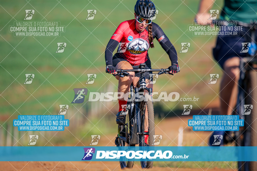 V Desafio MTB Marialva