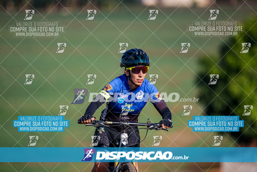 V Desafio MTB Marialva