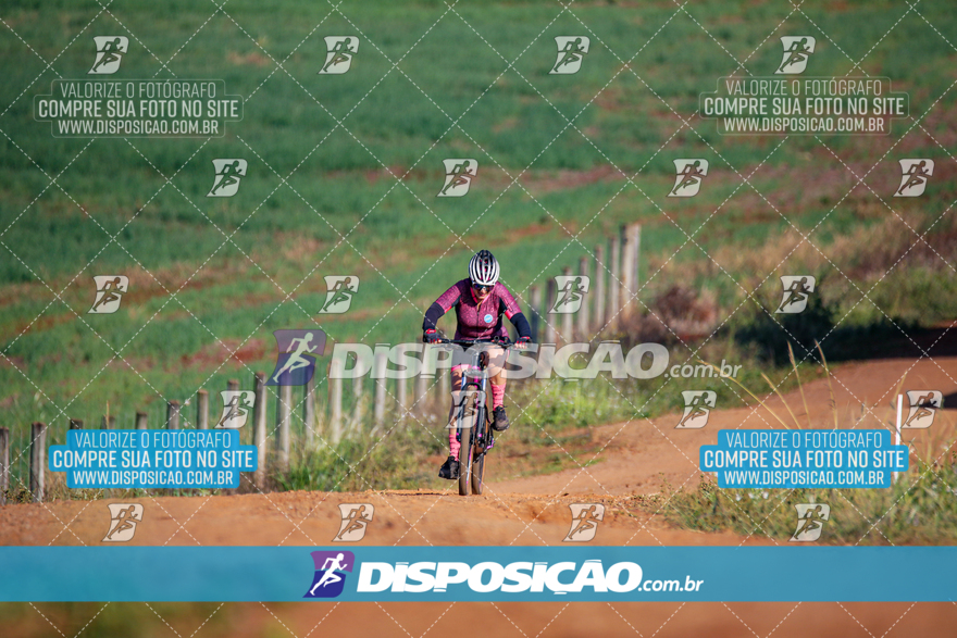 V Desafio MTB Marialva