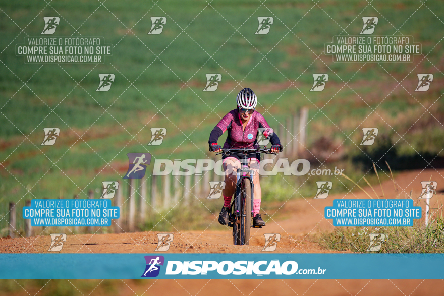 V Desafio MTB Marialva