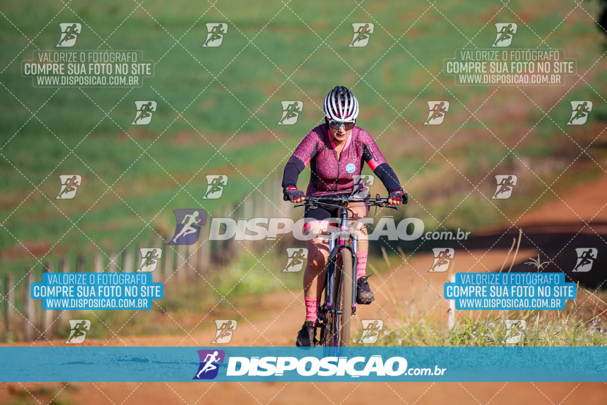 V Desafio MTB Marialva