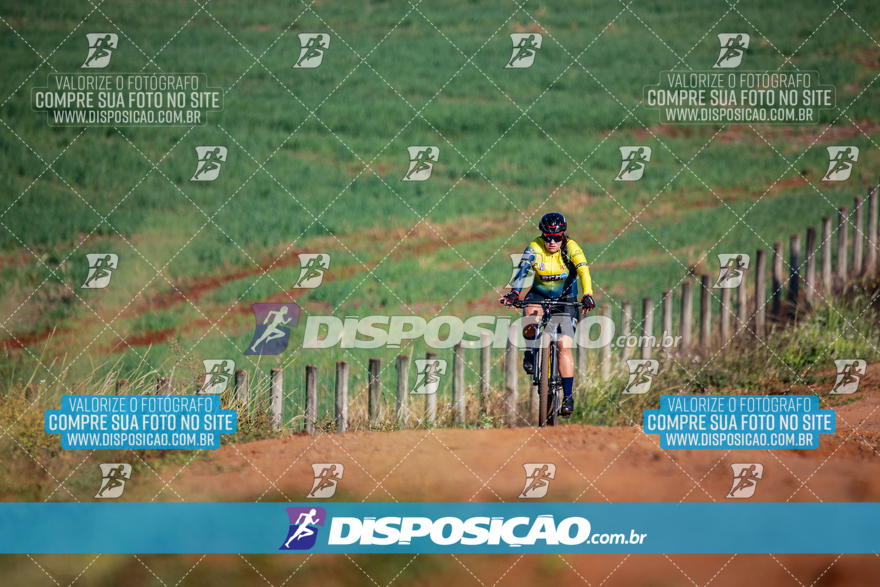 V Desafio MTB Marialva