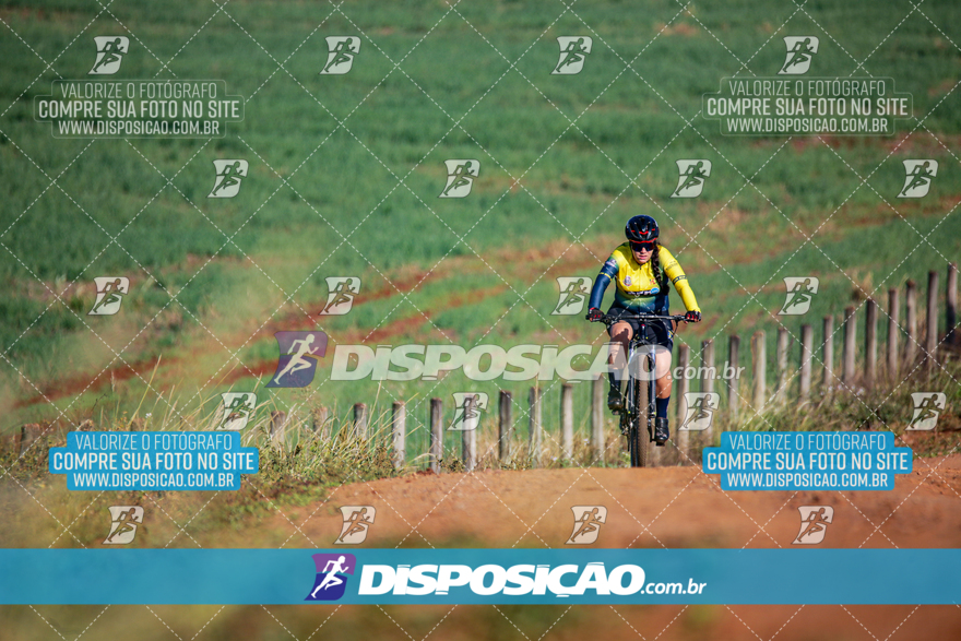 V Desafio MTB Marialva