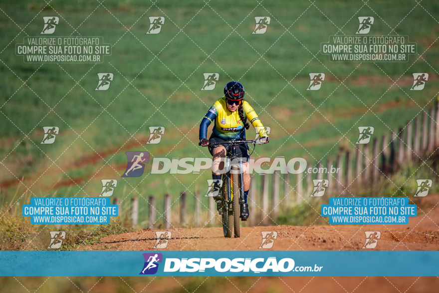 V Desafio MTB Marialva