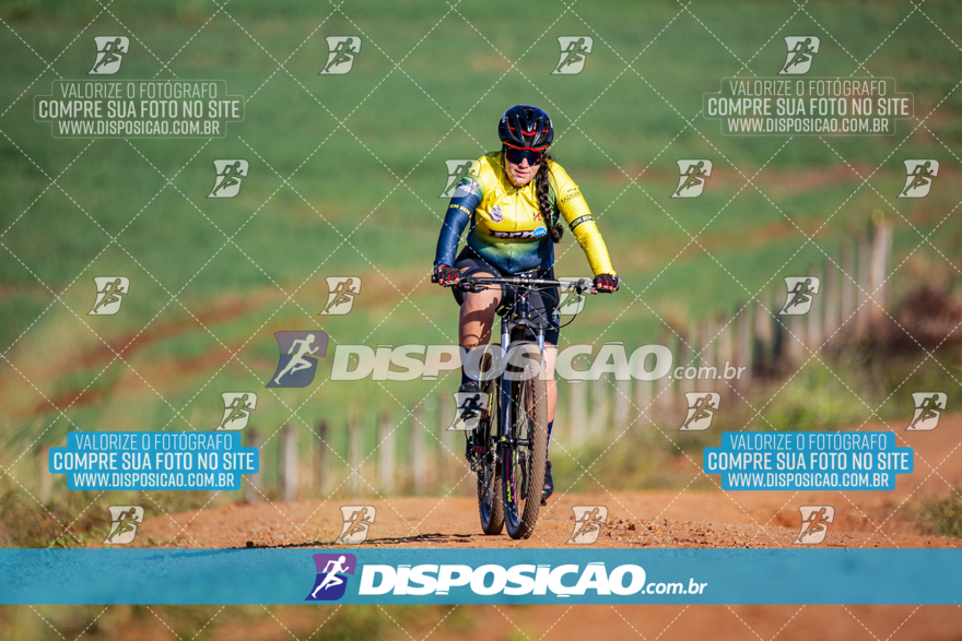 V Desafio MTB Marialva