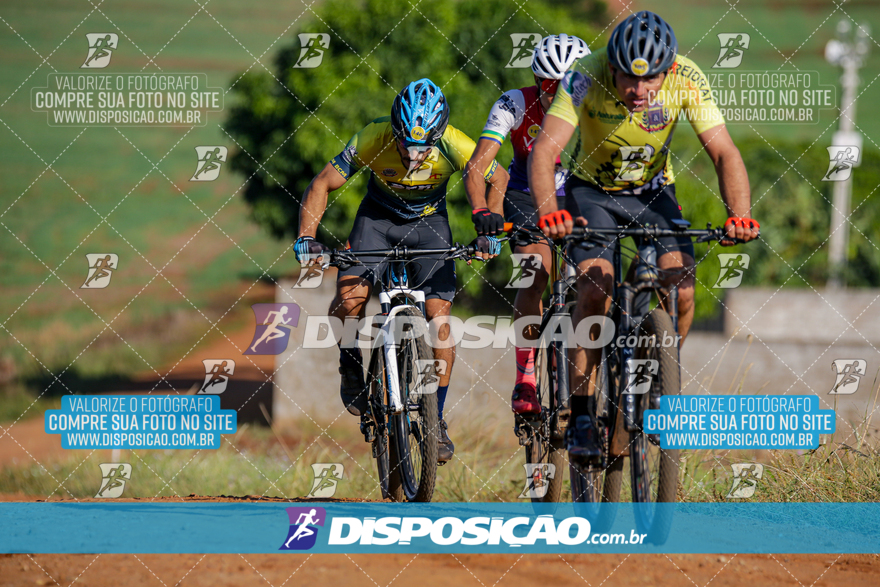 V Desafio MTB Marialva