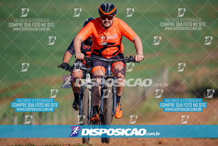 V Desafio MTB Marialva