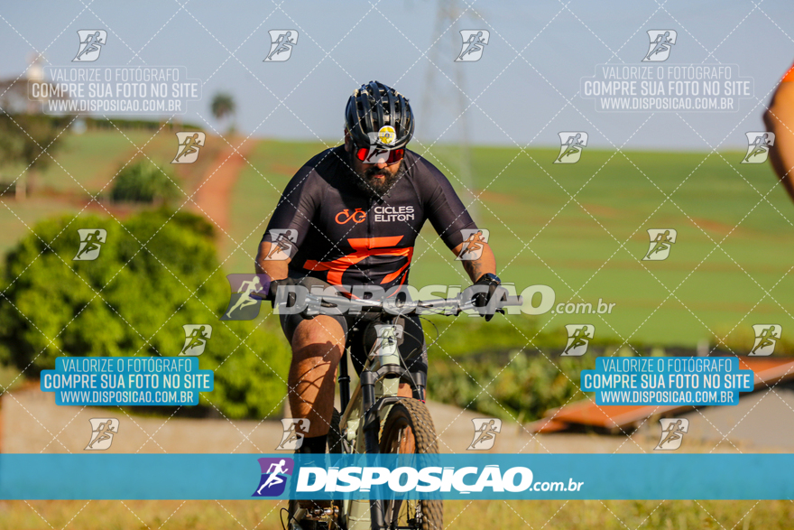 V Desafio MTB Marialva