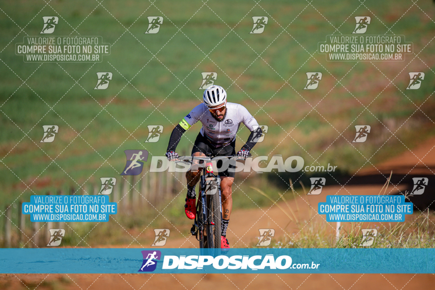 V Desafio MTB Marialva