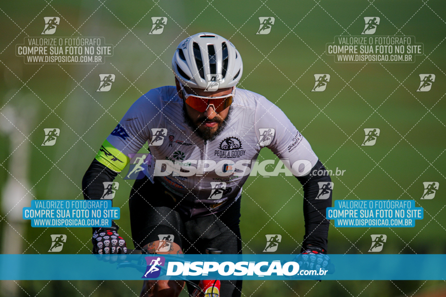 V Desafio MTB Marialva