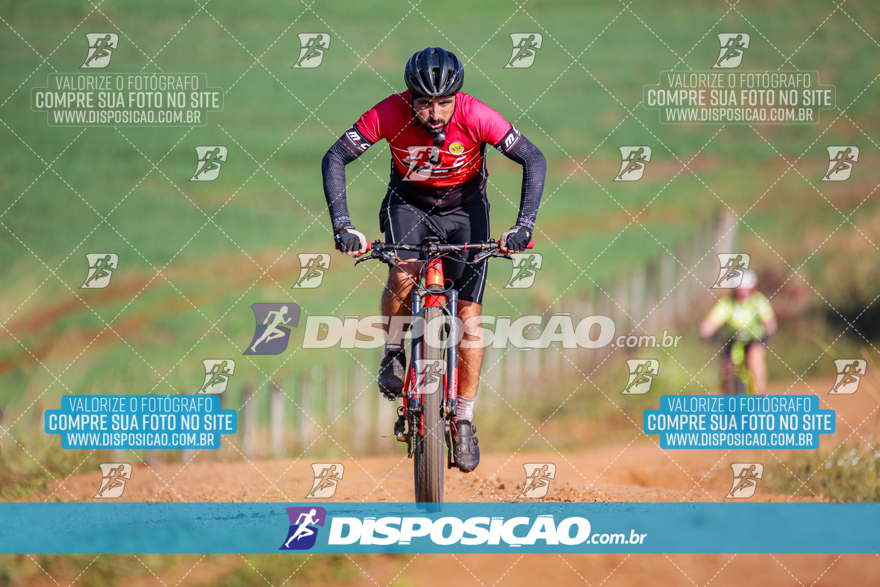 V Desafio MTB Marialva