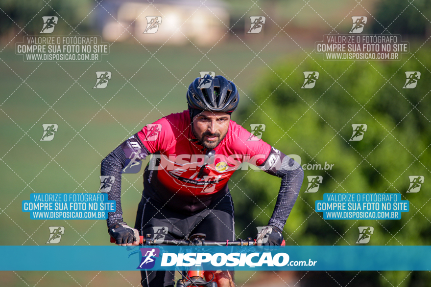 V Desafio MTB Marialva