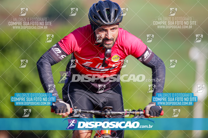 V Desafio MTB Marialva