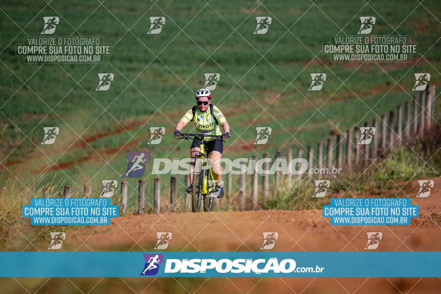 V Desafio MTB Marialva