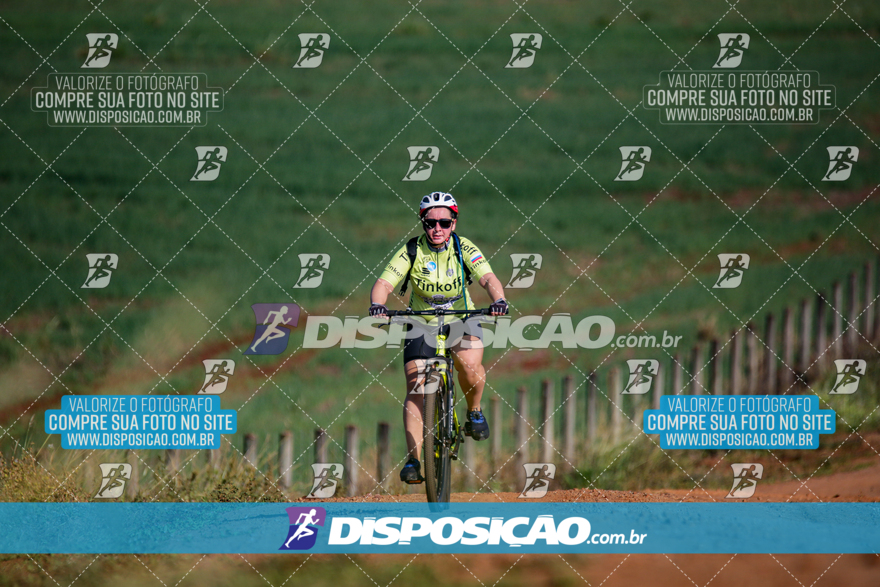 V Desafio MTB Marialva