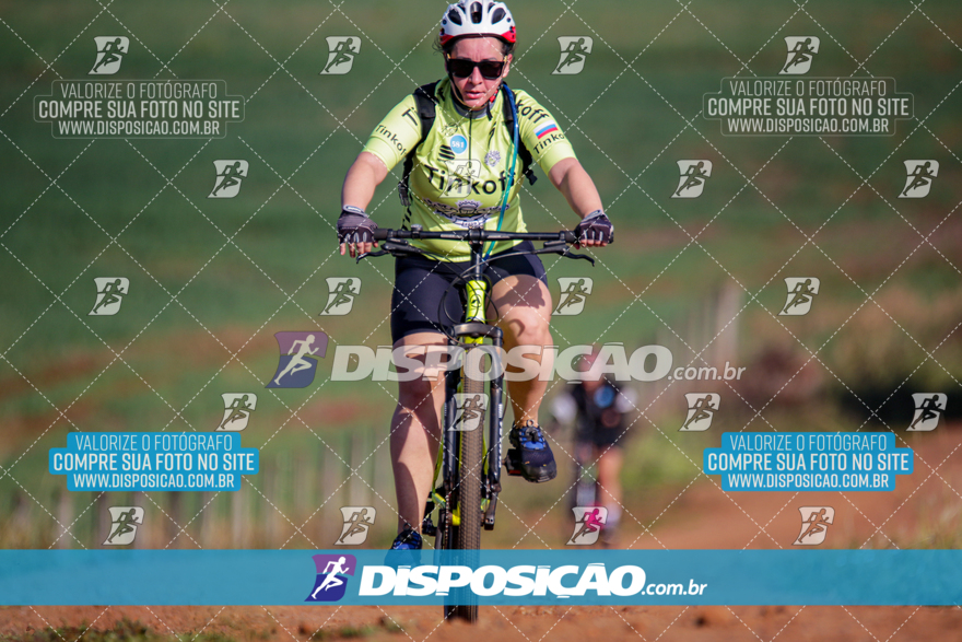 V Desafio MTB Marialva