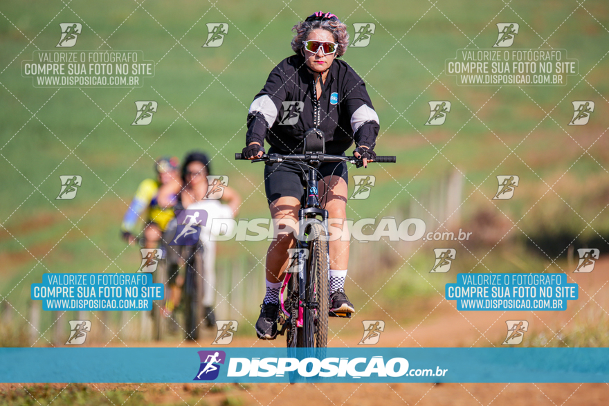 V Desafio MTB Marialva