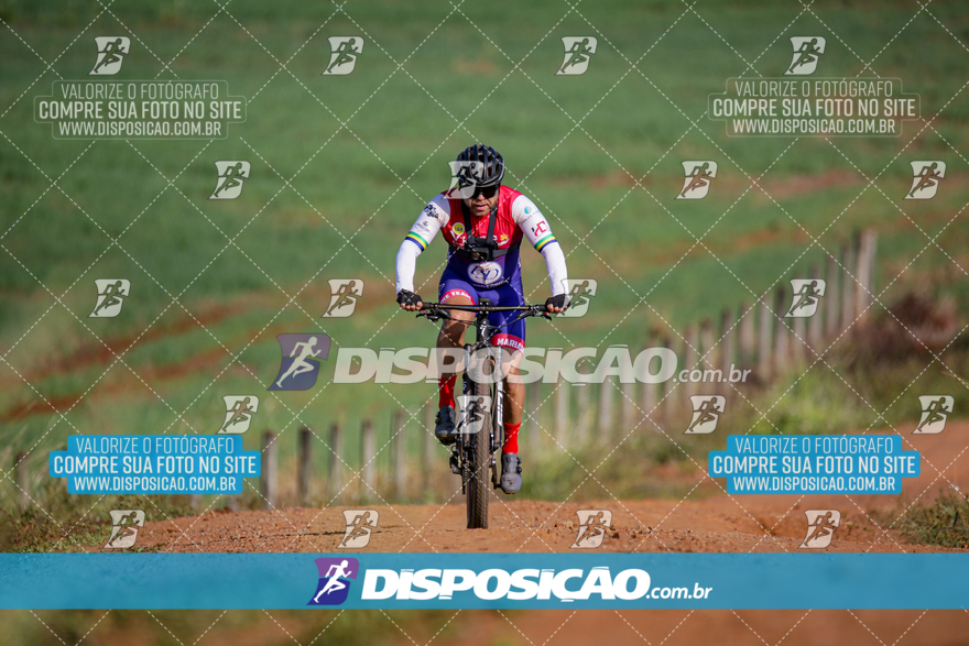 V Desafio MTB Marialva