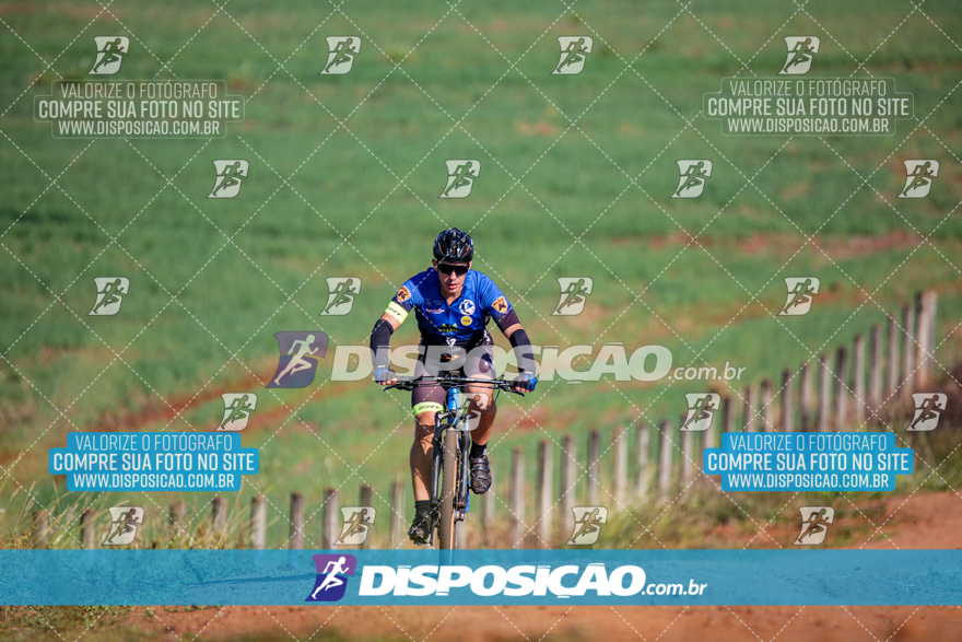 V Desafio MTB Marialva