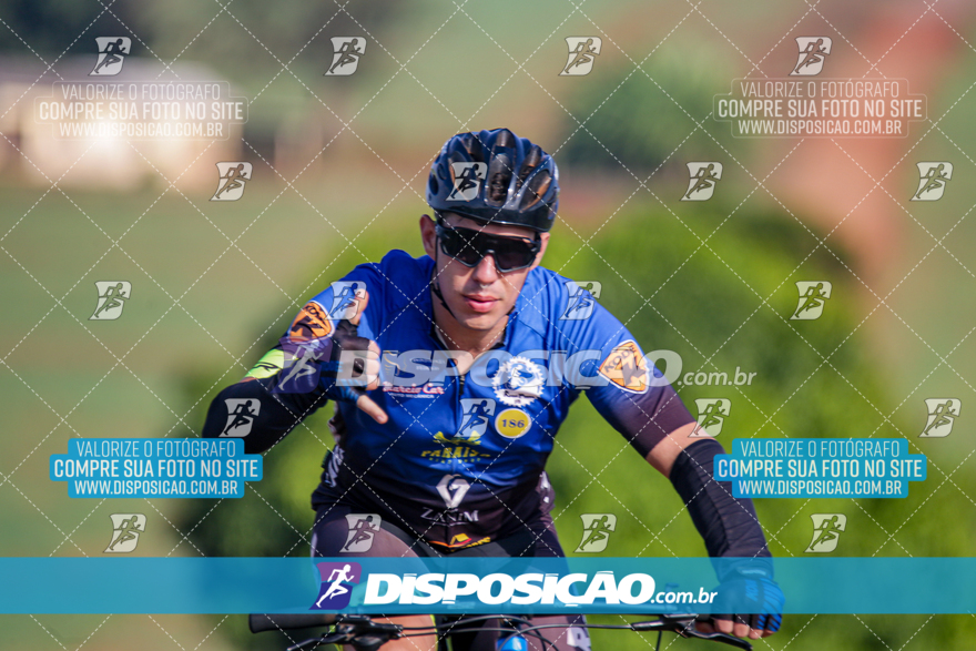 V Desafio MTB Marialva