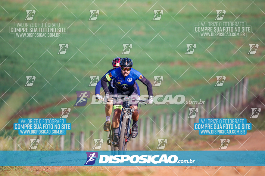 V Desafio MTB Marialva