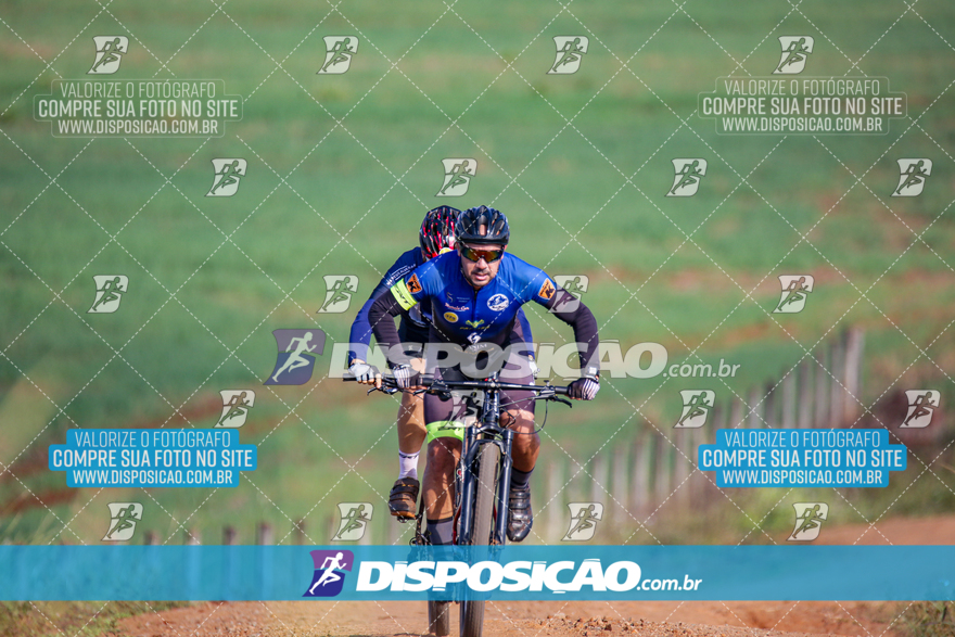 V Desafio MTB Marialva