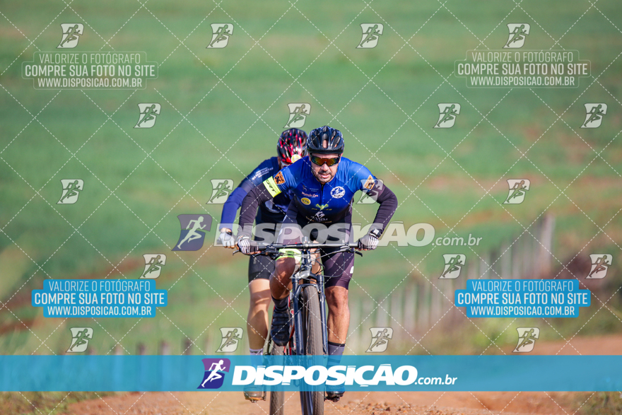 V Desafio MTB Marialva