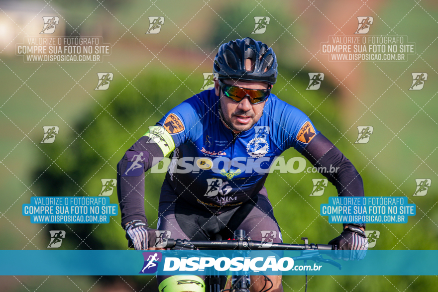 V Desafio MTB Marialva