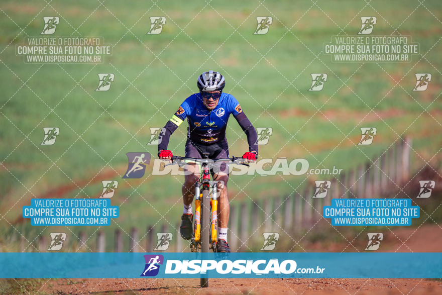 V Desafio MTB Marialva