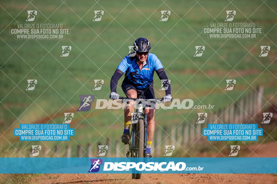 V Desafio MTB Marialva