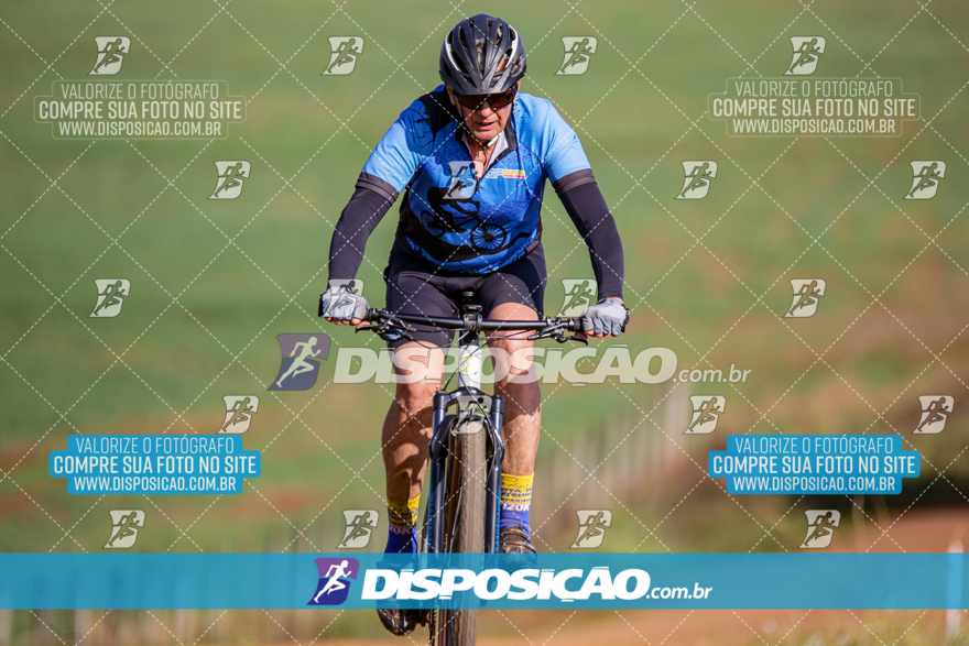 V Desafio MTB Marialva