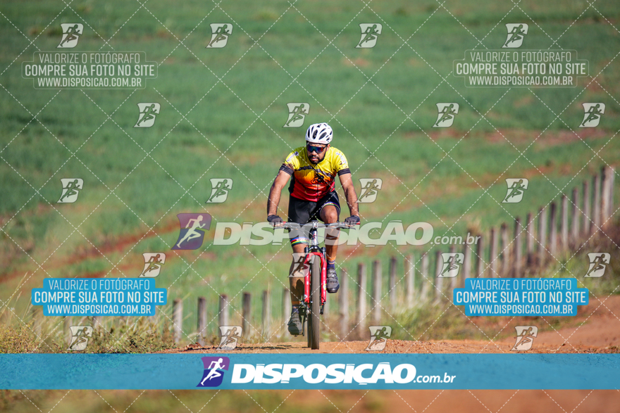 V Desafio MTB Marialva