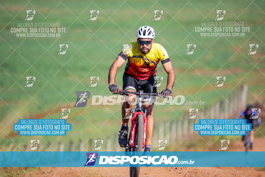 V Desafio MTB Marialva