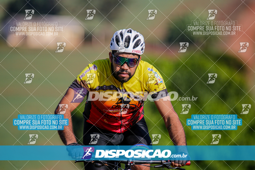 V Desafio MTB Marialva