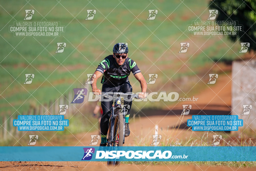 V Desafio MTB Marialva