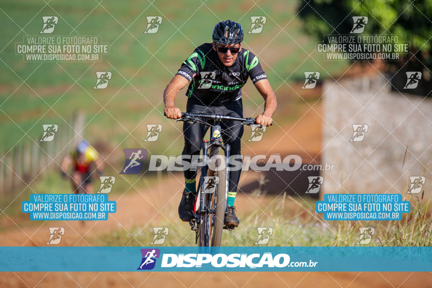 V Desafio MTB Marialva