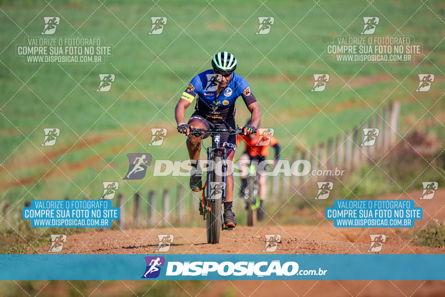 V Desafio MTB Marialva