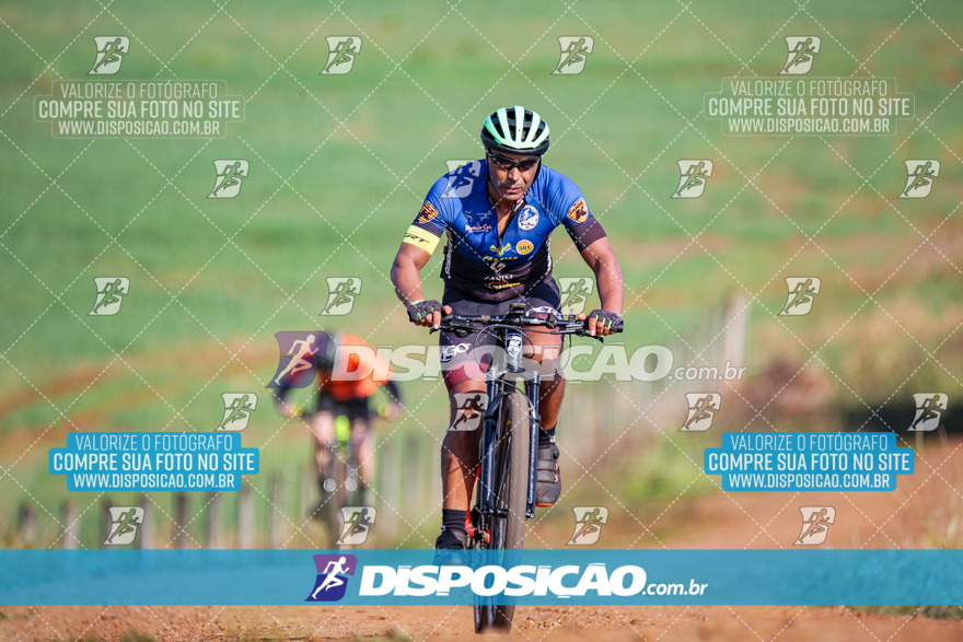 V Desafio MTB Marialva