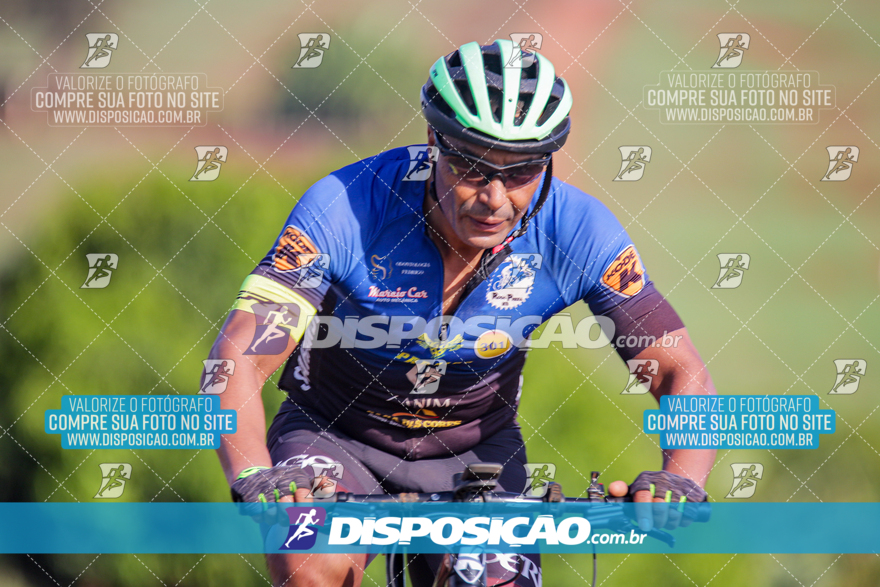 V Desafio MTB Marialva